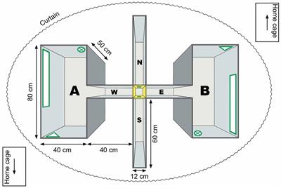 Experience-Dependency of Reliance on Local Visual and Idiothetic Cues for Spatial Representations Created in the Absence of Distal Information